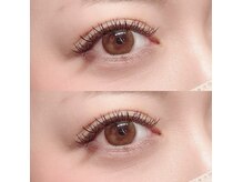 フーフロー(Fooflow)/パーフェクトラッシュ120束