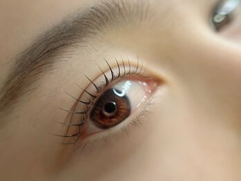 ショルト(Sciolto)