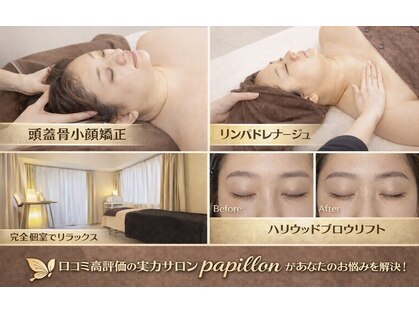 パピヨン(papillon)の写真