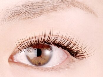 まつげエクステ専門店 アイラ 沼津店(EYELA)/ベルベットセーブル上つけ放題