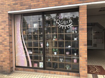 ルビア 十条店(RUBIA)/お店の外観