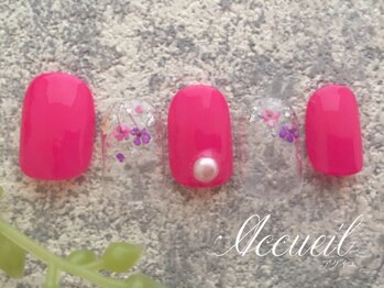 アクイユ 銀座店(ACCUEIL)/定額L