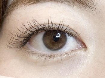 ローラント(LAURENT)/フラットラッシュ 120本