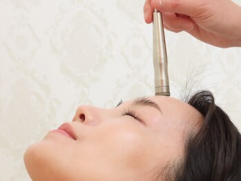 ベルタ(BELTA)/ダイヤモンドピーリング