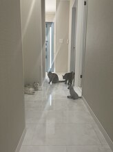 エスポリー(ESPORY)/