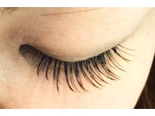 フラットマットラッシュ《抜群の安定感》（※写真は、120本）