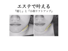 サロン ド メタセコイア(salon de Metasequoia)