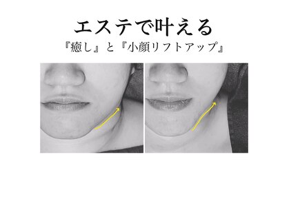 サロン ド メタセコイア(salon de Metasequoia)の写真