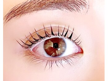 ブレラ(BRERA)/人気のメーテルデザイン