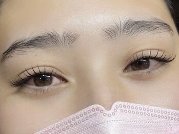 ベリス(Bellis)/フラットラッシュ120本