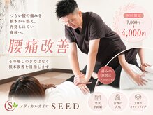 シード(SEED)
