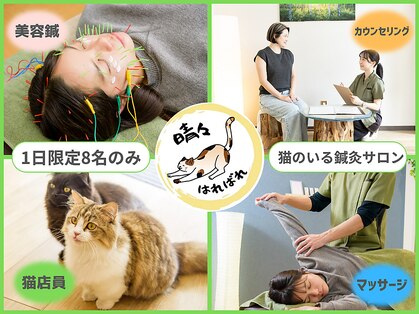 晴々の写真