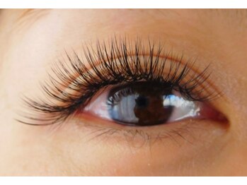 スンダリ(Sundari)/ボリュームラッシュ600本☆