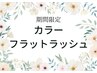 ◎ご新規様★垢抜け目元★12種から選べるカラーフラット120本【オフ無料】