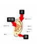 耳つぼ施術(耳だけへの施術です)