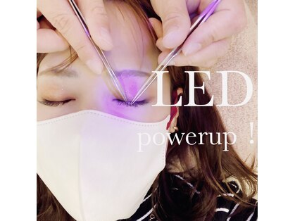 トレートール アイラッシュ(tretar eyelash)の写真