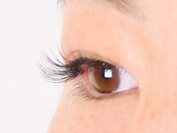 プア(PUA)/フラットラッシュ