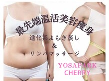 ヨサパーク チェリー 杉田店(YOSA PARK Cherry)