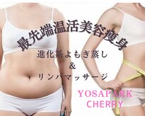 ヨサパーク チェリー 杉田店(YOSA PARK Cherry)