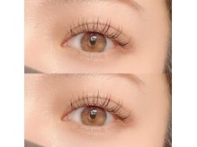 フーフロー(Fooflow)/フラットラッシュ120本