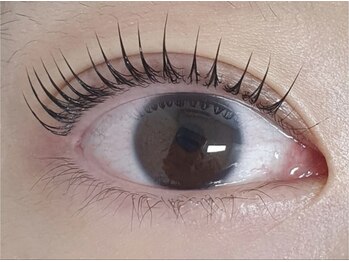 アレグレス 池袋/池袋/まつ毛パーマ