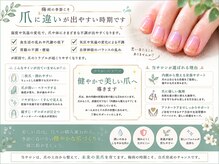 ヘブンリープラス＋ Luz湘南辻堂店