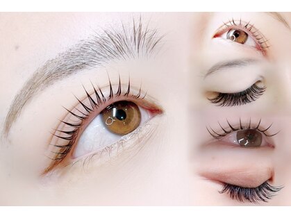 シャッセ(SASE)の写真