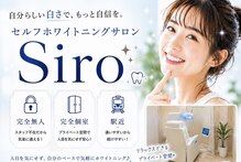 シロ(Siro)