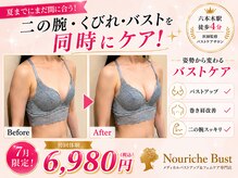 ナリッシュバスト(Nouriche Bust)