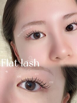 アテプラス(ate+)/LED フラットラッシュ100本