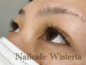 ウィステリア(Wisteria)/抗菌セーブル100本コース