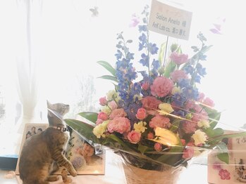 アネラ(Anela)/Love