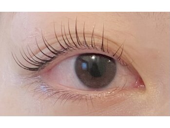 アイラッシュプラン メル 高槻JR駅前店(eyelash plan Mel)/潤いまつ毛パーマ