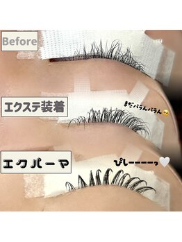 メメ(meme)/エクパーマ