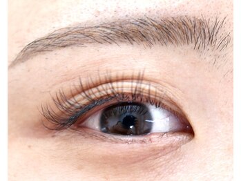 プロジェック/エクステ100本