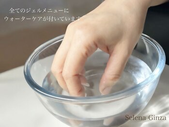 セレナギンザ(SelenaGinza)/ウォーターケア付