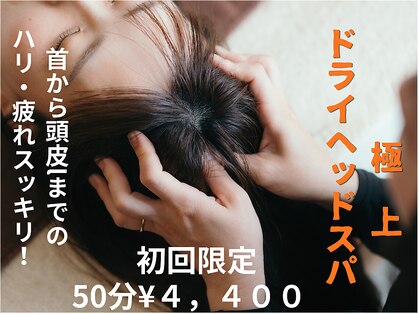 カイロプラクティック ラウレア 豊川店の写真