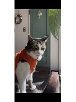 リラクゼーションスポットハンズ(Relaxation spot HanD's)/ねむそー