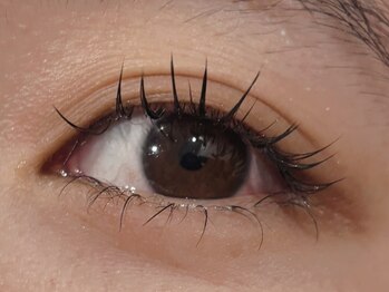 アイサロン パフューム(PURFUME)/束感まつ毛