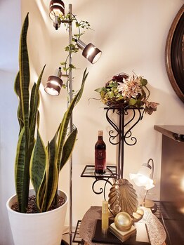 サレーヌ フェイシャルサロン 用賀店/リニューアルオープン★