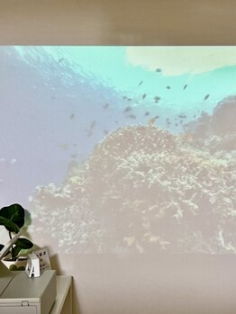 オリ(Oli)/癒やしの映像2