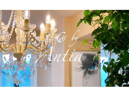 ココ バイ アンティア(CoCo by Antia)の写真