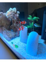 salon結(yui)/アクアリウムセラピー