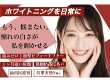 ダンブランシュサンダ(dents Blanches SANDA)