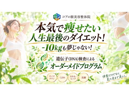 脂肪燃焼・痩身ダイエット コアの樹美容整体院 名古屋大須店の写真