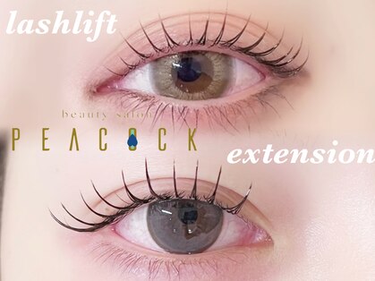 ピーコック(peacock)の写真