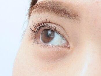 デスティーノ アイラッシュ(DESTINO eyelash)の写真/【次世代まつげパーマ＊ラッシュリフト】で朝のメイク時短に◎【フラット＆セーブル】で自然な仕上がりに♪