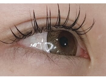 ベリール 南平岸店(Be'Leel)/LED60