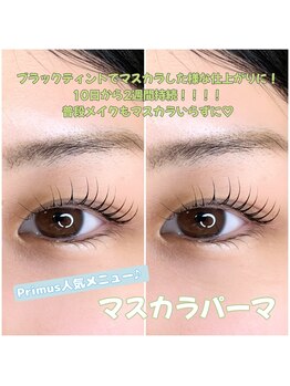 プリムス(Primus)/マスカラパーマ