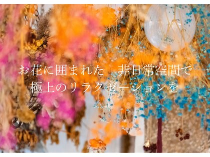 ルルベ(releve)の写真